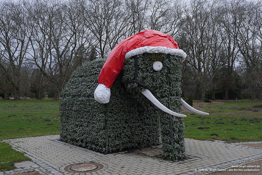 Der Weihnachtselefant (Birgit Ebbert)